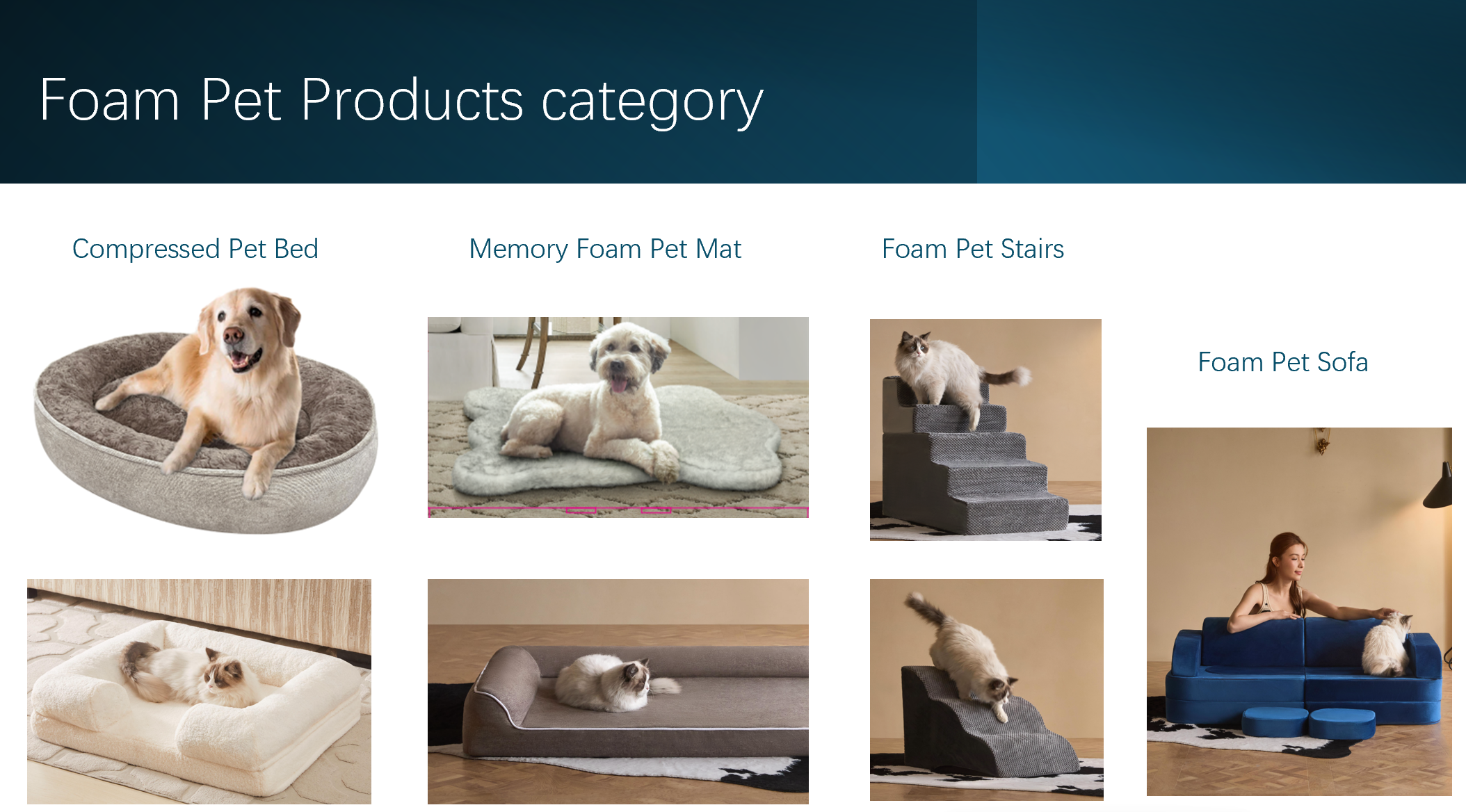 foam pet